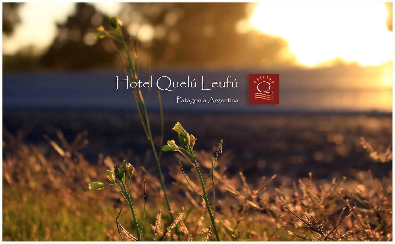 Hotel Quelu Leufu Río Colorado Exteriér fotografie